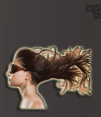 cabeloos.nl kapsalon nagelstudio zeeuws vlaanderen